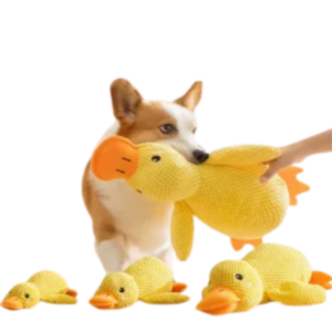 Squeaky Duck Plush Chew Toy for Dogs – Bite Resistant Companion