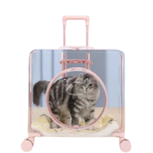 Transparent Pet Trolley Carrier – Large Capacity Portable Outdoor Crate