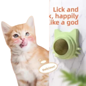 Catnip Bite-Resistant Cat Ball Toy