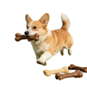 Indestructible Natural Dog Bone Chew Toy – Non-Toxic Anti-Bite Puppy Toy