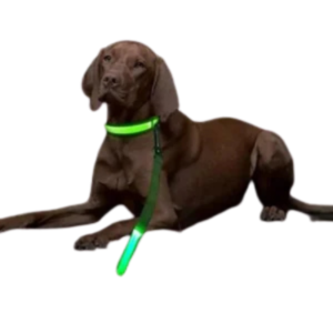 LED Flashing Safety Dog Night Leash