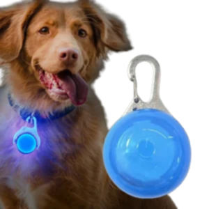 LED Glow Safety Collar Pendant Light