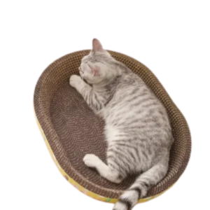 Oval Corrugated Cat Scratching Board – Furniture Protector Claw Grinding Toy