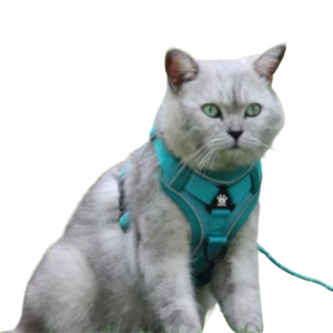 Breathable Harness and Leash Set for Cats and Dogs – Adjustable Reflective