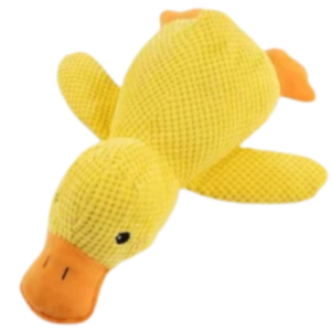 Squeaky Duck Plush Chew Toy for Dogs – Bite Resistant Companion