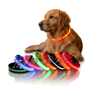 LED Glow Dog Leash & Collar Night Set
