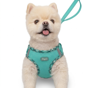 Anti-Pull Dog Harness Adjustable – Easy Control Vest for Dogs