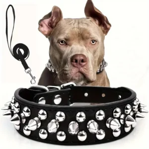 Spiked Leather Dog Collar and Leash Set – Rivet Adjustable for All Sizes