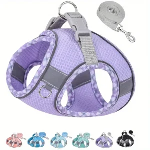 Reflective Dog Harness & Leash Set
