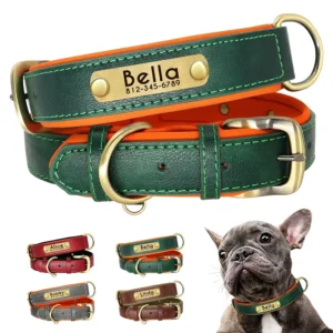 PU Leather Dog Collar – Personalized Soft Padded Nameplate