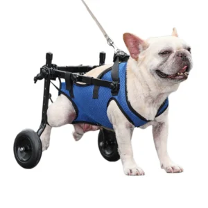 Adjustable Pet Wheelchair – Mobility Aid Cart for Dogs and Cats