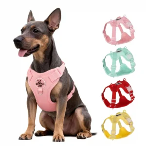 Pastel Macaron No-Pull Dog Harness Set