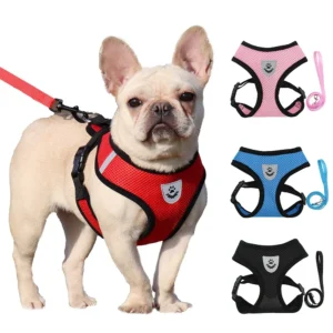 Reflective Breathable Mesh Pet Harness Set