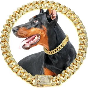 Luxury Gold Metal Chain Pet Collar