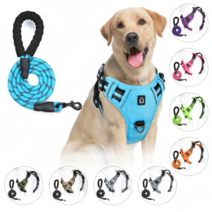 Dog Harness & Leash Combo Set